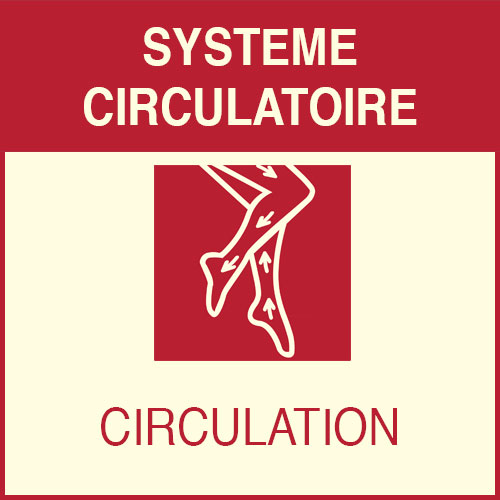 « Système
