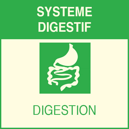 « Système
