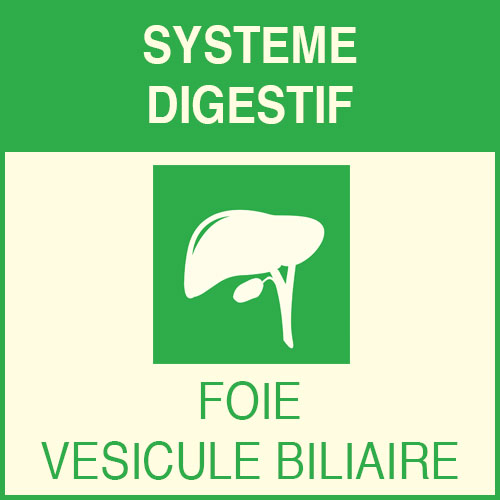 « Système