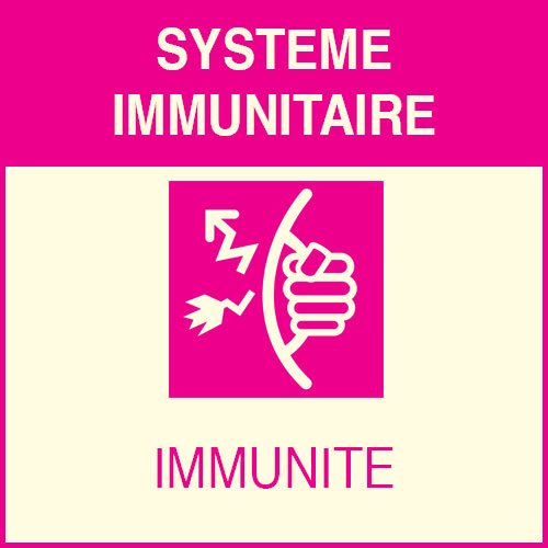 « Système