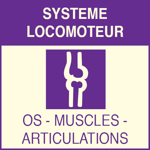 « Système