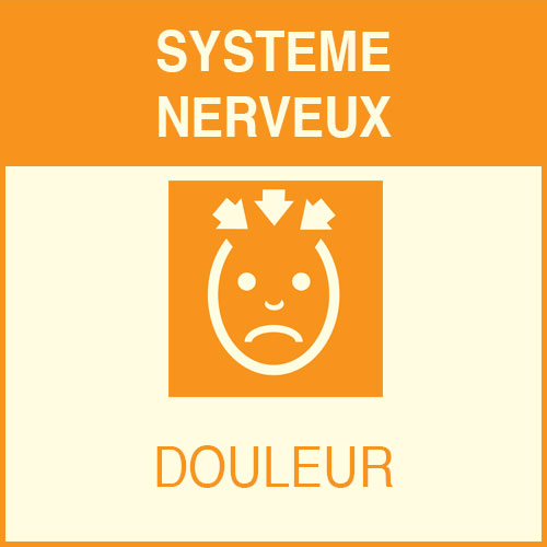 « Système