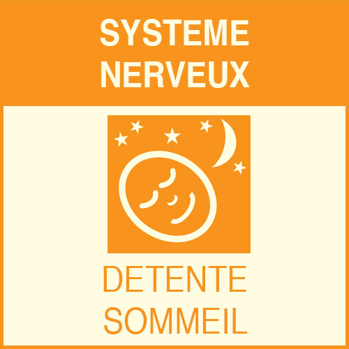 « Système