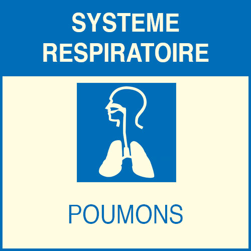 « Système