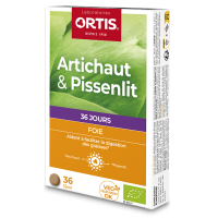 ORTIS - Artichaut & Pissenlit