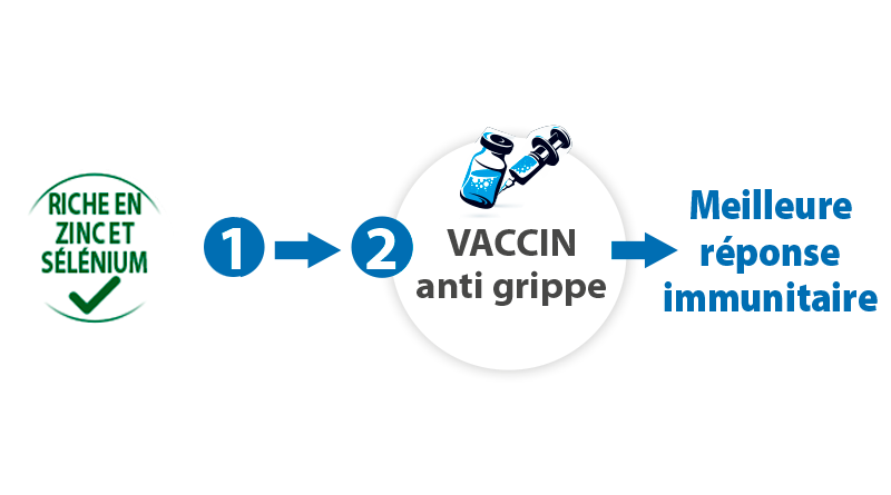 Propex Express (riche en zinc et sélénium) + vaccin anti grippe = meilleure réponse immunitaire