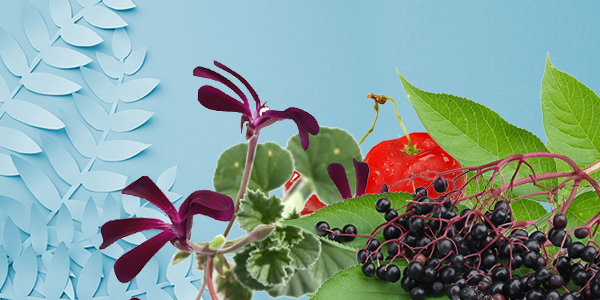 La natura è la tua miglior difesa!