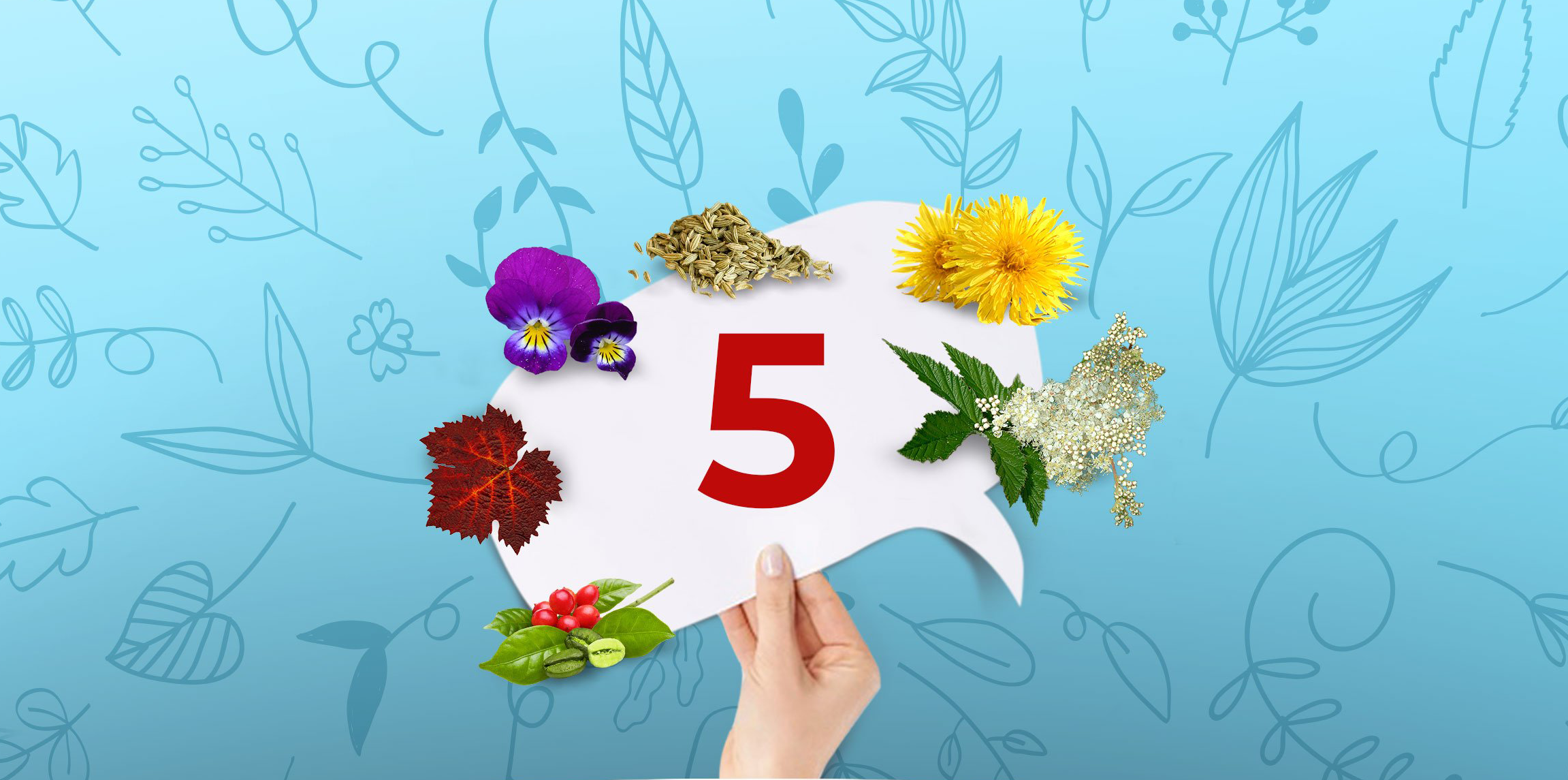 I nostri 5 consigli per un organismo in salute