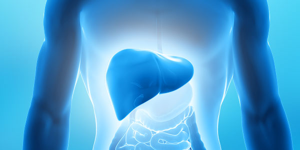 ¿Cómo purificar el hígado?