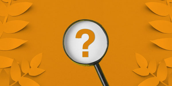 Quali sono le cause dei disturbi digestivi?