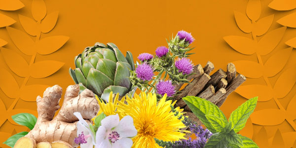 Aiuta la digestione con la natura