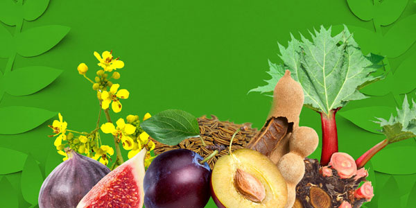 La natura ridona equilibrio al tuo transito