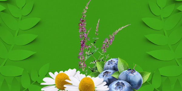 Calma il tuo transito con la natura