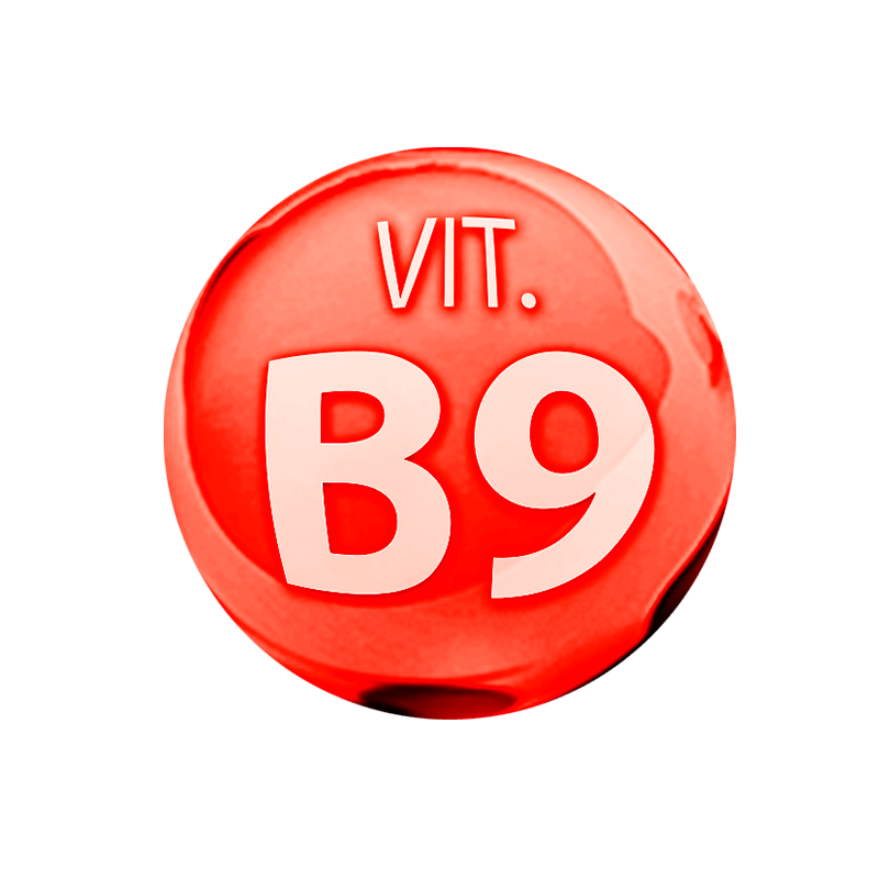 Vit. B9 – Ácido fólico
