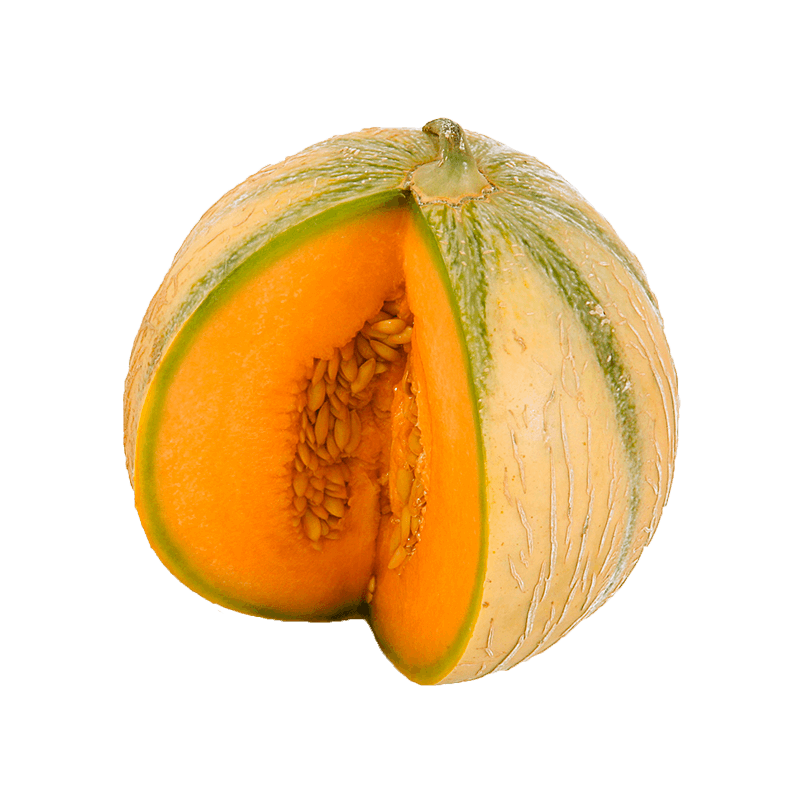 Melón