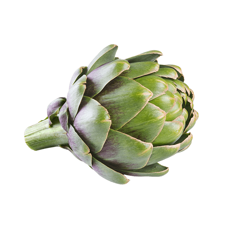 Artichoke