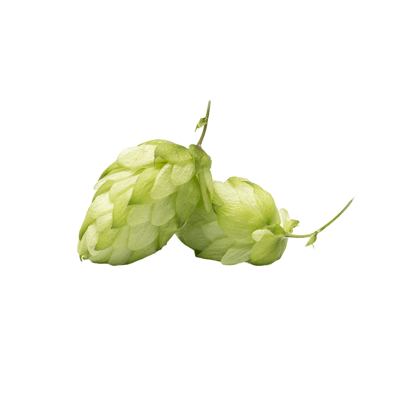 Hop