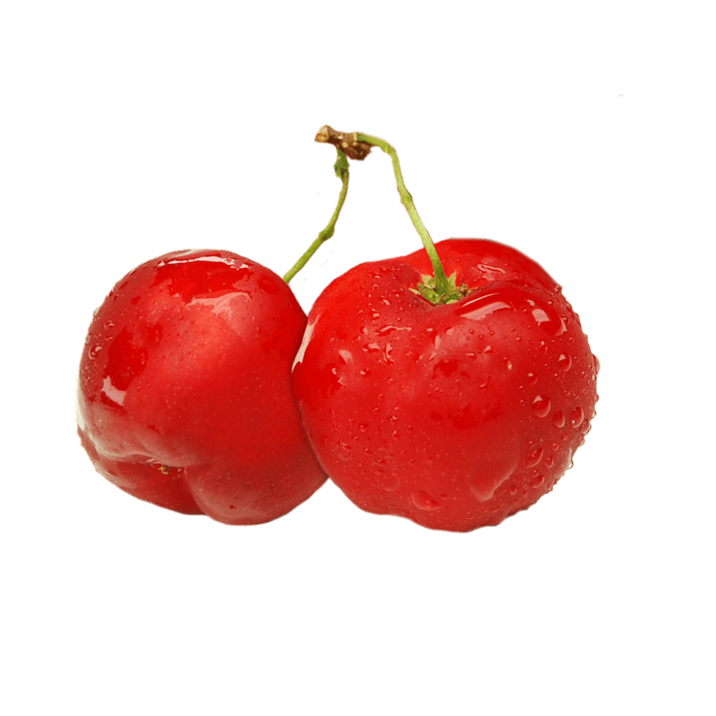 Barbados cherry