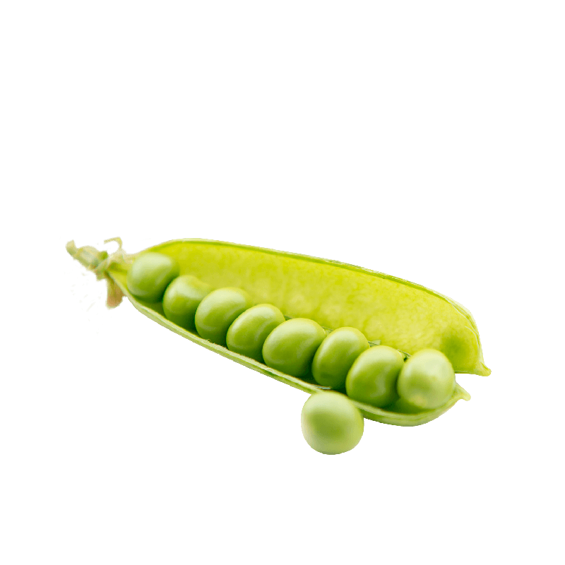 Pea