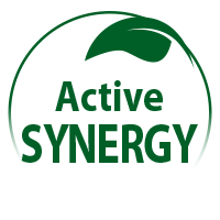 synergie-actions_en