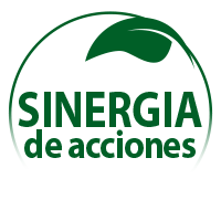 synergie-actions_es