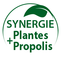 synergie-plantes-propolis_fr