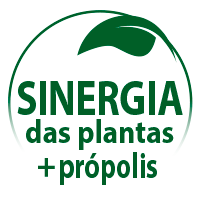 synergie-plantes-propolis_pt