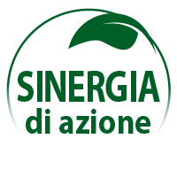 synergie-actions_it
